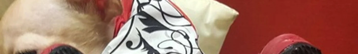 b0e86c11-244b-4c06-86b8-9fb4b2e38bc3-8fad6663-9b85-4715-87a4-27d4602bad86-xl.jpeg